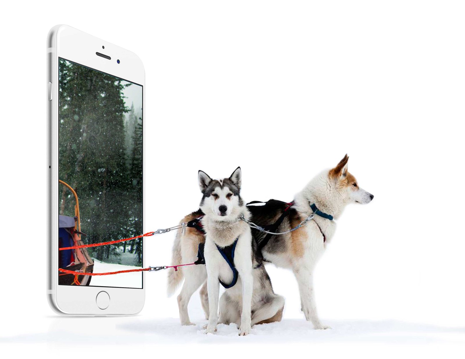 viajes a Canadá hospedaje incluido